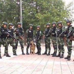 中国人民武装警察部队特种警察学院录取批次解析，提前批的身份与特点，中国人民武装警察部队特种警察学院录取批次解析，提前批身份与特点探究