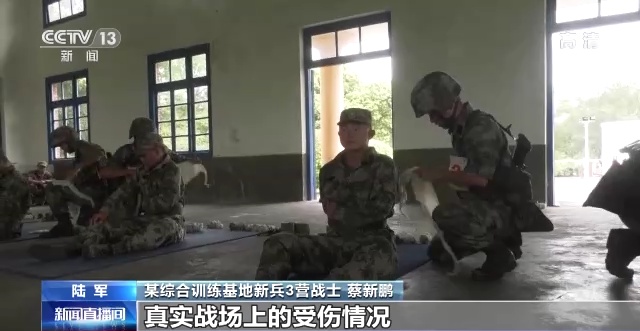 新兵三个月考核标准，培养优秀军事人才的基石，新兵三个月考核标准，培养优秀军事人才的坚实基础