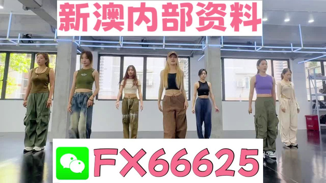 新澳一肖，探索与解读，新澳一肖，深度探索与解读