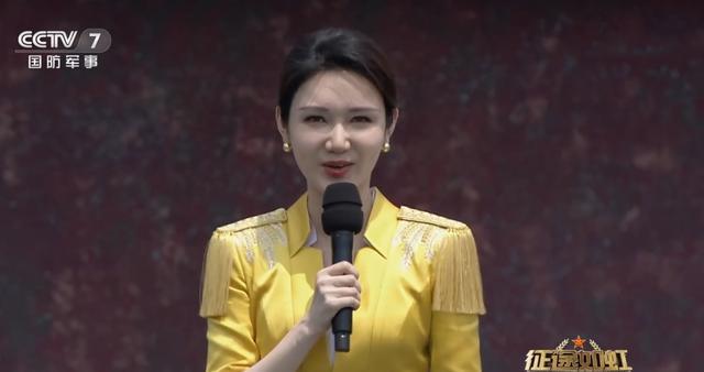 央视八一晚会主持人的风采与魅力，央视八一晚会主持人风采与魅力展现