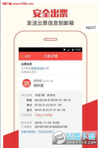 王中王兔费一肖，神秘与传奇的交融，王中王兔费一肖，神秘与传奇的交汇点