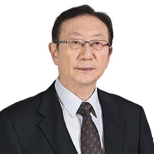 杨大民，第十四集团军军长的卓越领导与坚定信念，杨大民，第十四集团军军长的卓越领导才能与坚定信念
