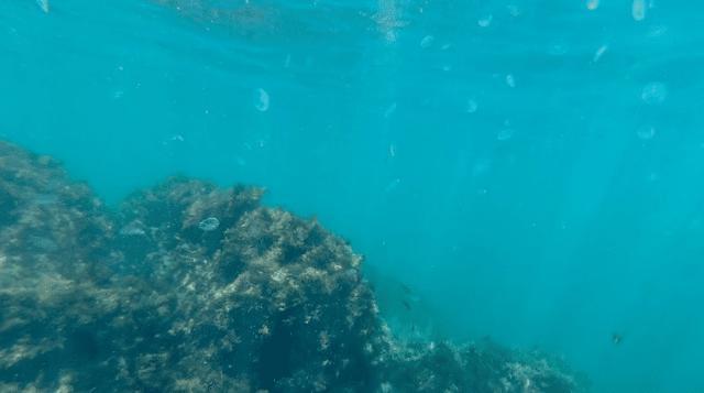 海底一万米，潜水员的生死挑战，深海潜行，潜水员生死挑战一万米海域探秘