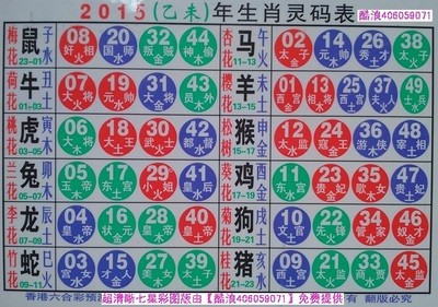 揭秘十二生肖与数字彩票的奥秘，2025年十二生肖49码表详解，揭秘十二生肖与彩票奥秘，2025年十二生肖49码表详解