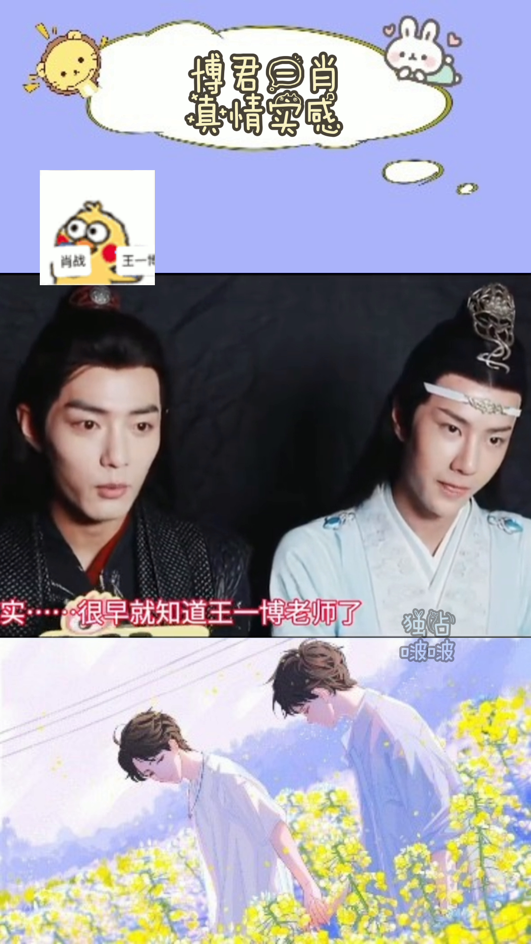 一肖免费待王中王,揭秘背后的故事与真相,揭秘一肖免费待王中王背后的真相与故事