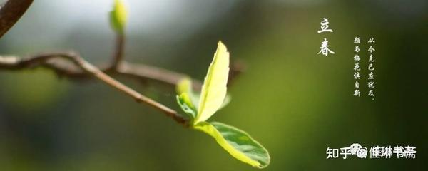 今日立春时辰，万物复苏，生机勃发，立春时节，万物复苏，生机勃发启新篇