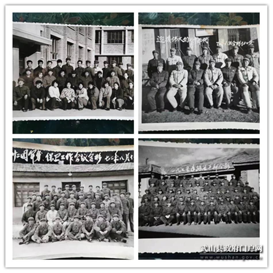 步兵第11师第33团简介，步兵第11师第33团概览