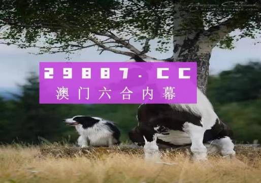 澳门开奖最快的资料网站，探索与解析，澳门开奖资料探索与解析，最快网站揭秘