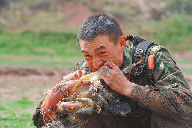中国女特种兵极限训练图片，坚韧与力量的完美展现，中国女特种兵极限训练，坚韧与力量的绝美展现