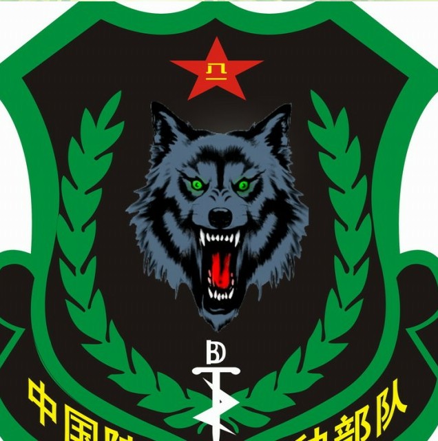 火箭军特种部队臂章，荣耀的象征与使命的承载，火箭军特种部队臂章，荣耀与使命的象征