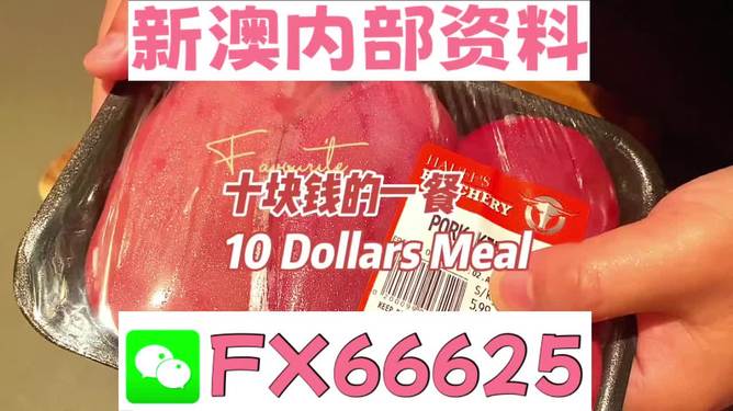 2025新澳精准资料免费大全，探索与启示，2025新澳精准资料免费大全，探索之旅与启示