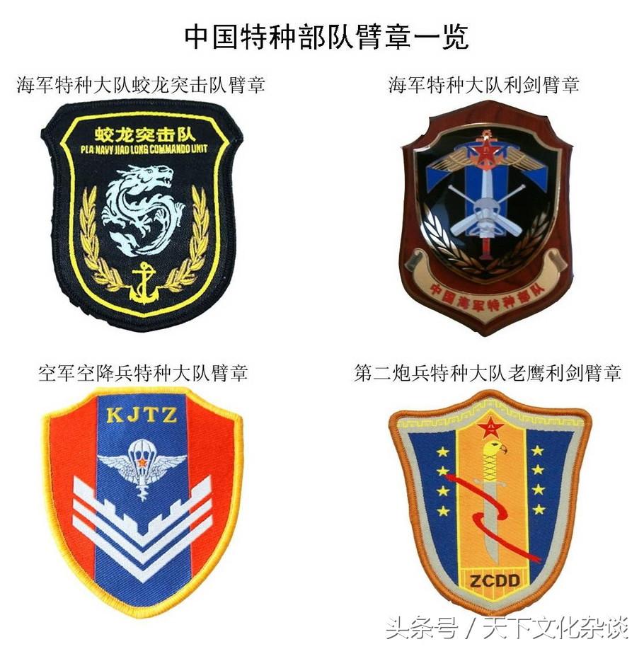 中国特种部队排名臂章，荣耀的象征与力量的展现，中国特种部队排名臂章，荣耀与力量的标志
