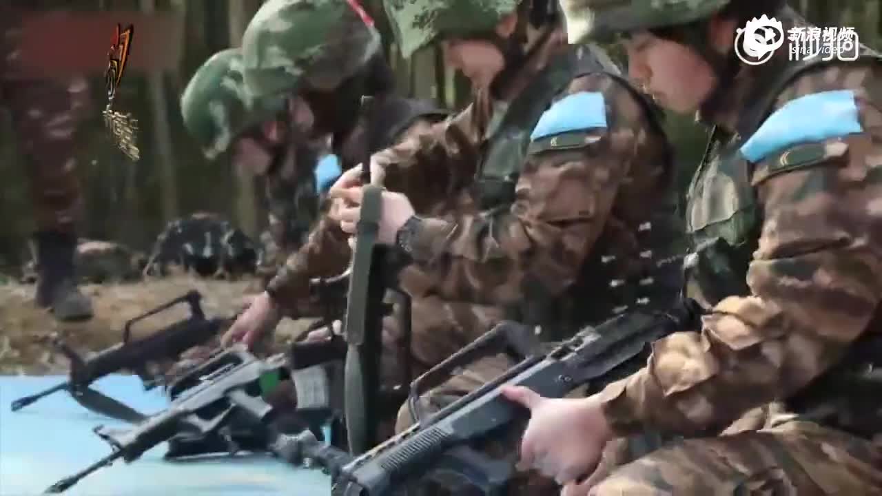 中国武警陆军女兵图片，展现力量与荣耀，中国武警陆军女兵风采，力量与荣耀的展现
