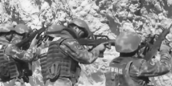 历时56天的奇迹之旅,历时56天的奇迹之旅,探索未知的壮丽之旅