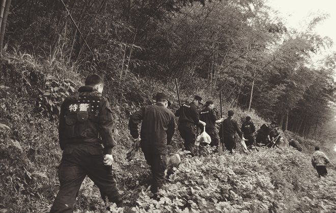 历时56天的奇迹之旅,历时56天的奇迹之旅,探索未知的壮丽之旅