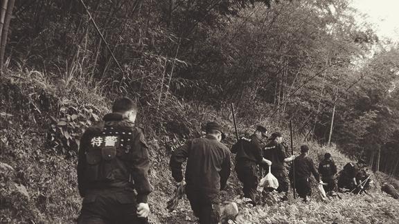 历时56天的奇迹之旅,历时56天的奇迹之旅,探索未知的壮丽之旅