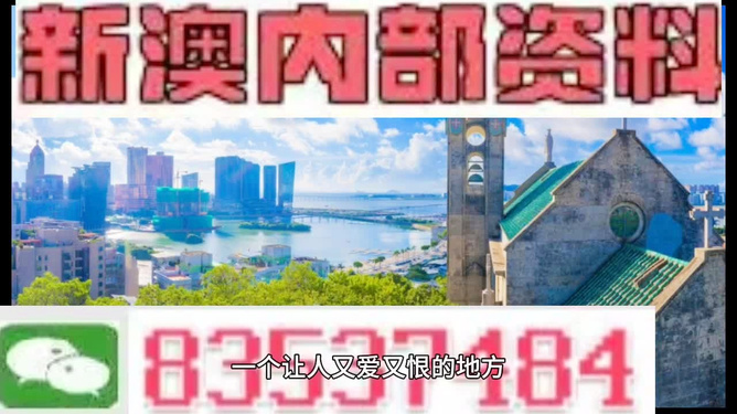 新澳门码资料49图库，探索与解析，新澳门码资料49图库，深度探索与解析