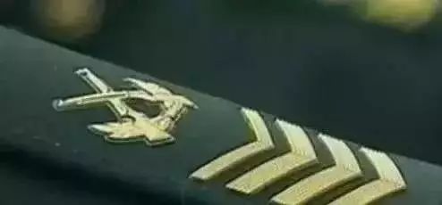 士官制度的起源与发展，从哪一年开始？，士官制度的起源与发展及其起始年份探究