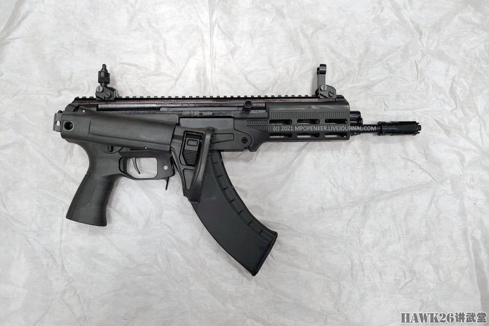 中国特种部队步枪概览，中国特种部队步枪全面解析