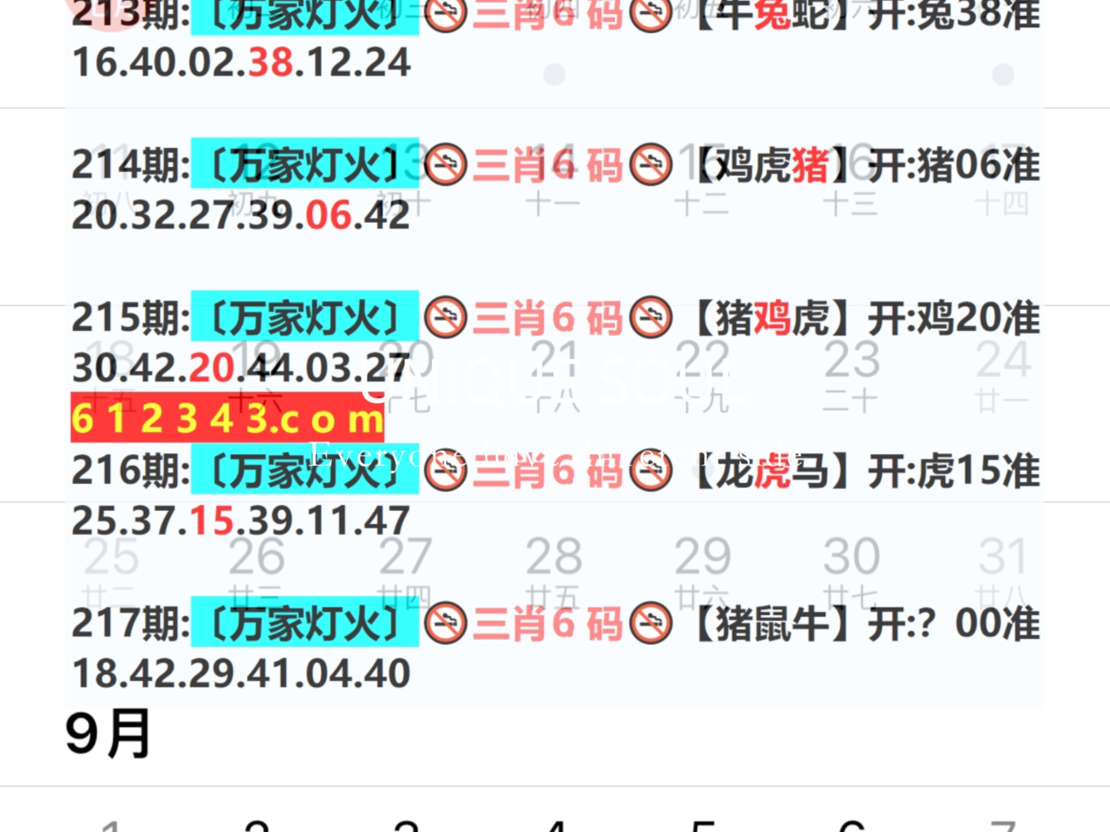 新澳门码资料,探索与理解,新澳门码资料解析与探索