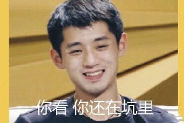 王中王拆一字解一肖，探寻背后的文化奥秘，王中王拆字揭秘生肖背后的文化奥秘