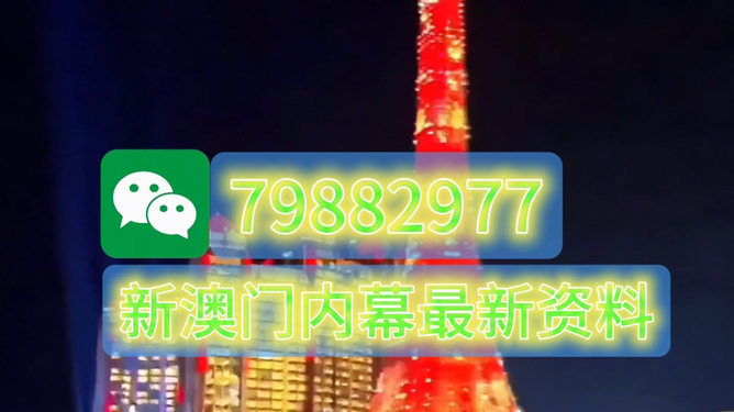 新澳门今晚必开一肖一特,探索与预测,澳门今晚必开一肖一特,深度探索与精准预测