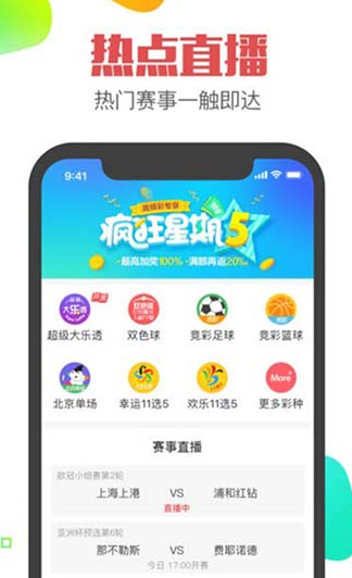 正版王中王一肖平码图，探索与解析，正版王中王一肖平码图的探索与解析