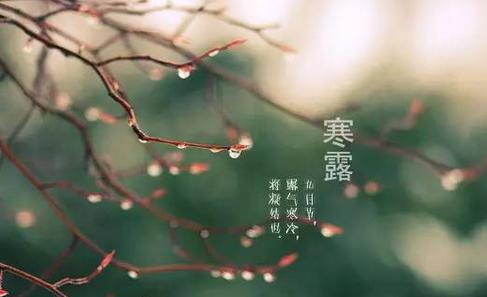 今天是什么日子黄历，今日黄历查询及解读