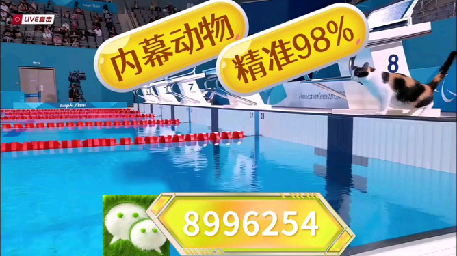 澳门今晚特马——探寻未来的繁荣与机遇(2025年展望),澳门未来繁荣与机遇展望,2025年特马之夜的发展蓝图