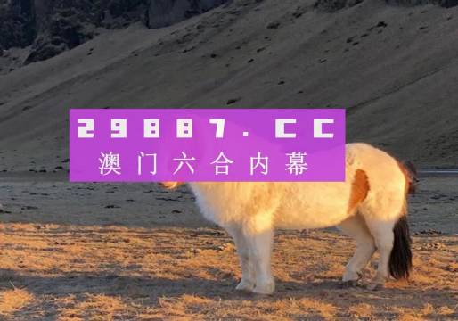 澳门六开奖结果49图库,探索与解析,澳门六开奖结果49图库深度解析与探索