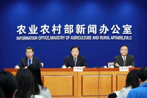 岳西今天重大新闻,掀起新时代的繁荣序幕,岳西今日重大新闻,新时代繁荣序幕正式拉开