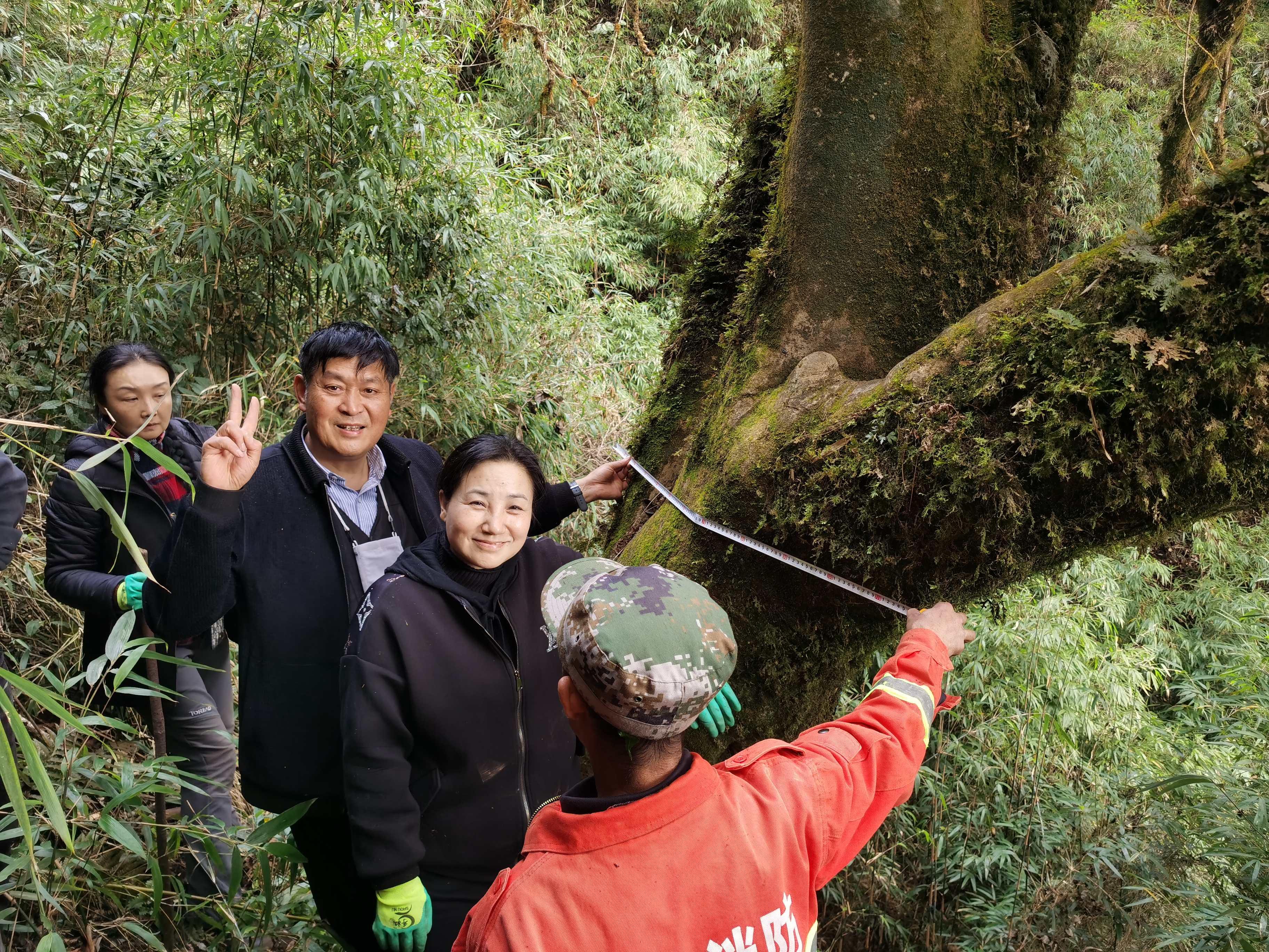 今日头条新闻免费下载安装——探索最新资讯的便捷途径，今日头条新闻，免费下载探索最新资讯的便捷途径