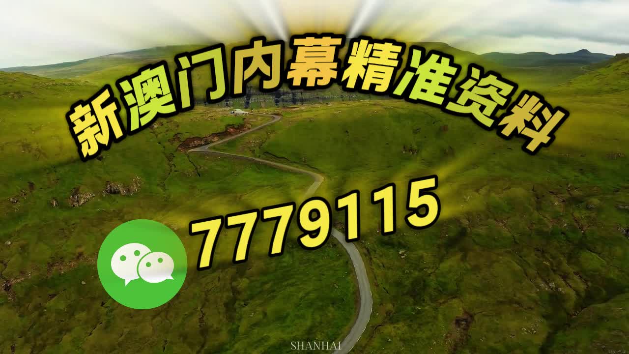 澳门精准三肖三码一澳门,探索与解析,澳门精准三肖三码一解析探索