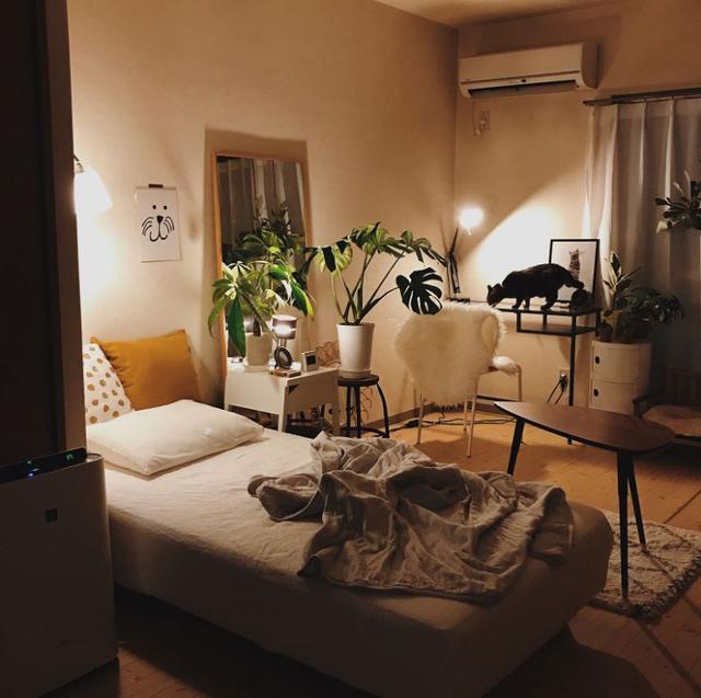 歼35与歼20,中国航空工业的璀璨明珠,歼35与歼20,中国航空工业的骄傲明珠