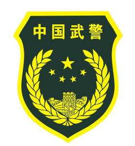 中国人民武装警察部队肩章,荣耀与责任的象征,中国人民武装警察部队肩章,荣耀与责任的标志