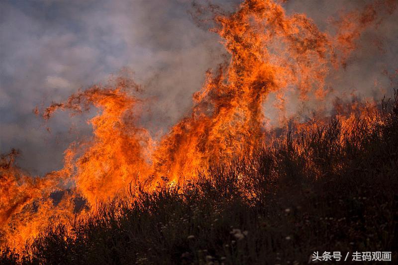 美国宣布进入紧急状态，背后的原因与影响，美国紧急状态背后的原因及其影响