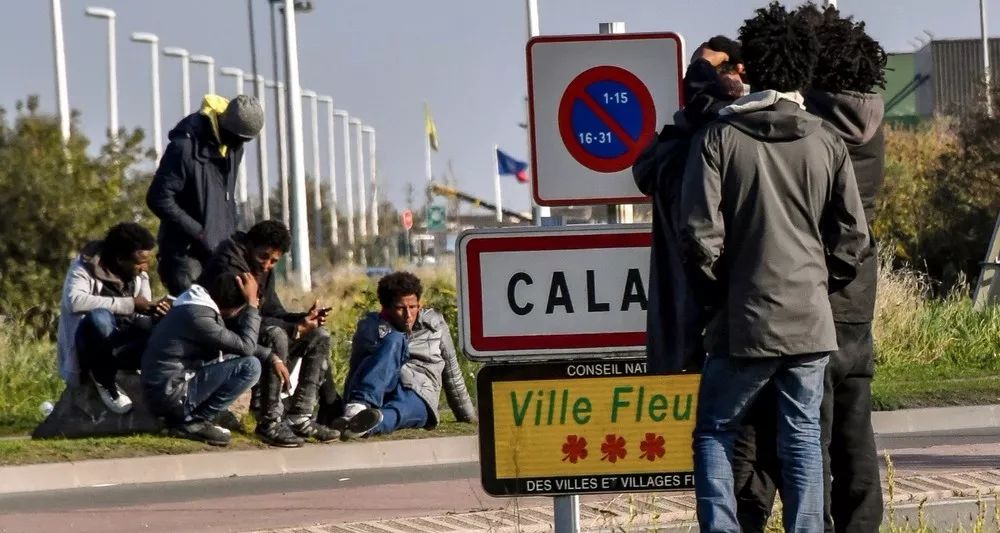 王中王一句解一肖——探寻生肖文化中的智慧与奥秘,探寻生肖文化中的智慧与奥秘——王中王一句解一肖