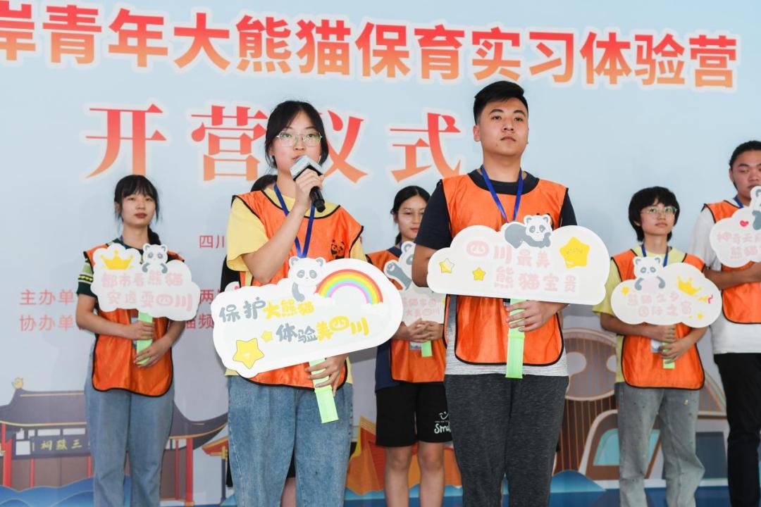 两岸新形势下的机遇与挑战——以2022年为观察点的一篇论文,两岸新形势下的机遇与挑战,以2022年为观察点的深度分析