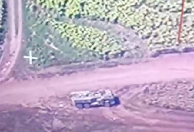 影响分析(或影响深度解析)