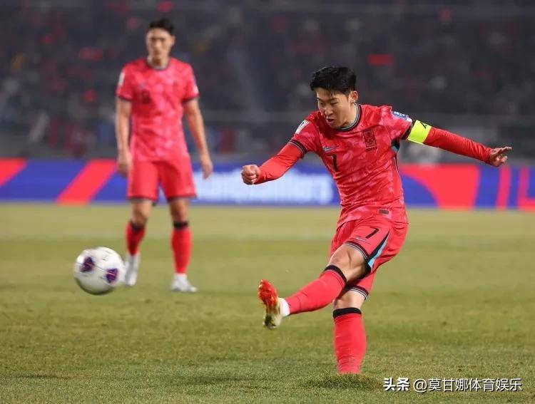 王中王www85777中一肖，探索与解析，王中王www85777中一肖，深度探索与解析