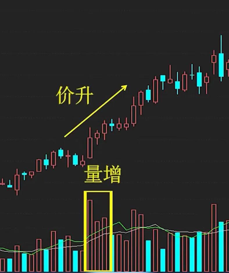 高清视频在线观看免费，今天你准备好了吗？，高清视频免费在线观看，今天你准备好了吗？