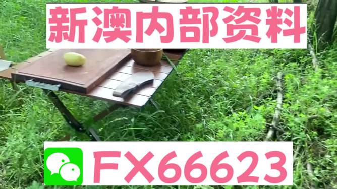 新澳一码料，纺织业的革新力量，新澳一码料，纺织业创新之驱动力