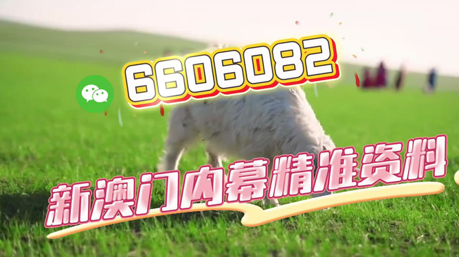 澳门今晚必开一肖一特——探寻幸运之门背后的秘密,澳门幸运之门背后的秘密,今晚必开一肖一特揭秘