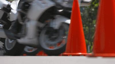 解放军国宾护卫队,荣耀与担当的象征,解放军国宾护卫队,荣耀与担当的礼仪之师