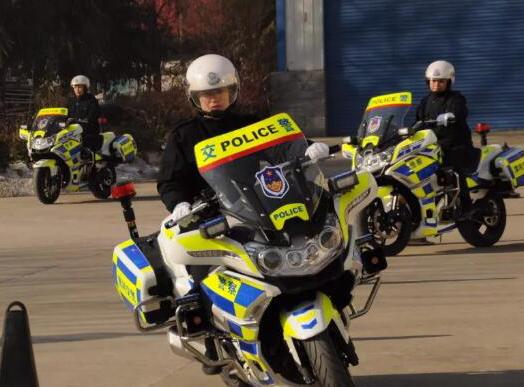 解放军国宾护卫队,荣耀与担当的象征,解放军国宾护卫队,荣耀与担当的礼仪之师