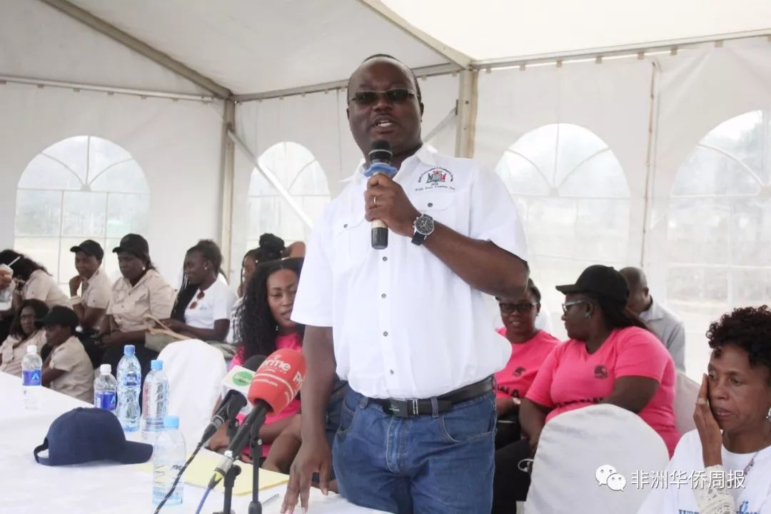 世界新闻自由日与生肖之思——探寻打一肖背后的深意,世界新闻自由日与生肖文化探寻,背后隐藏的深意——打一肖的象征意义探讨