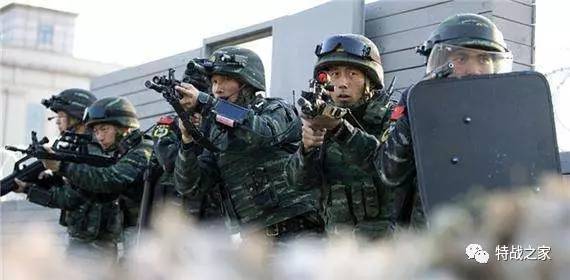 中国特种部队蛟龙突击队,精锐之师的荣耀与使命,中国特种部队蛟龙突击队,荣耀与使命的精锐之旅