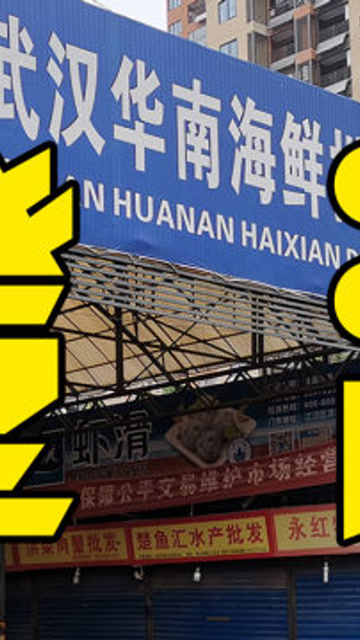 华南海鲜市场背后的真相,超越表象的探究,华南海鲜市场背后的真相深度探究