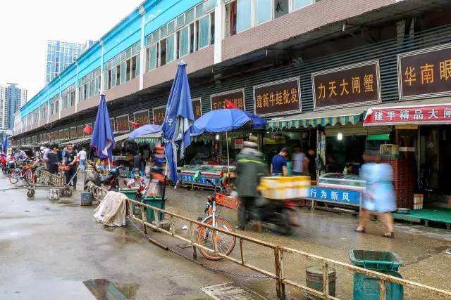 华南海鲜市场背后的真相,超越表象的探究,华南海鲜市场背后的真相深度探究