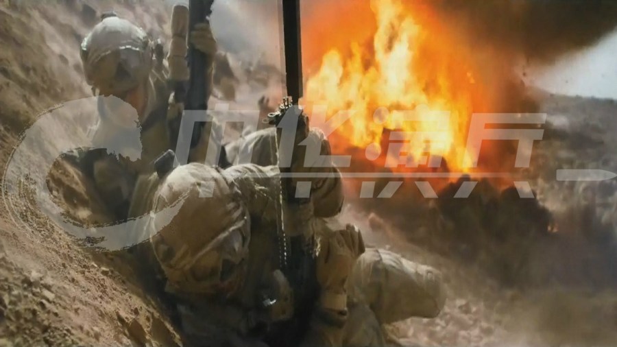 蛟龙突击队，撤侨营救的英勇之旅，蛟龙突击队，撤侨营救的勇敢征程